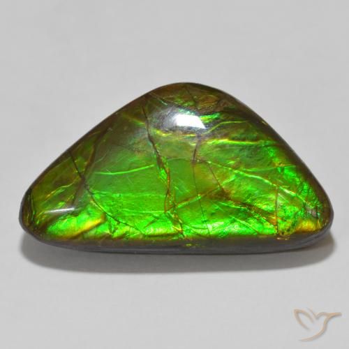 15.46ct Natürlicher Mehrfarbig Ammolith, Fantasie, Lichtundurchlässig