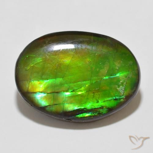 12.26ct Natürlicher Mehrfarbig Ammolith, Oval, Lichtundurchlässig