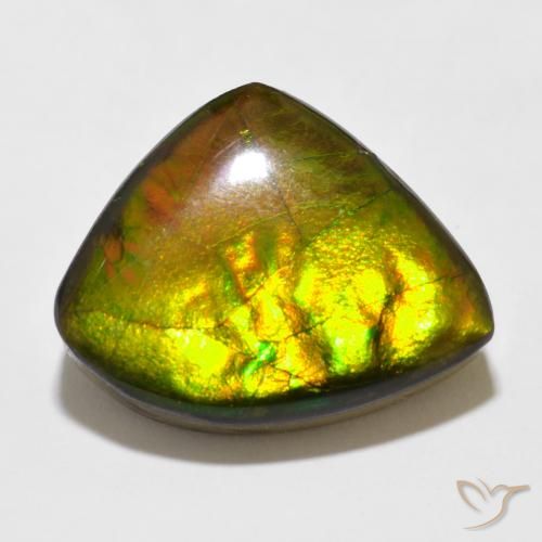 11.47ct Natürlicher Mehrfarbig Ammolith, Fantasie, Lichtundurchlässig