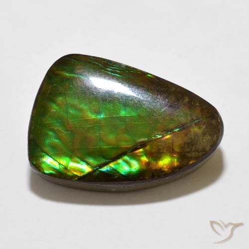 10.67ct Natürlicher Mehrfarbig Ammolith, Fantasie, Lichtundurchlässig