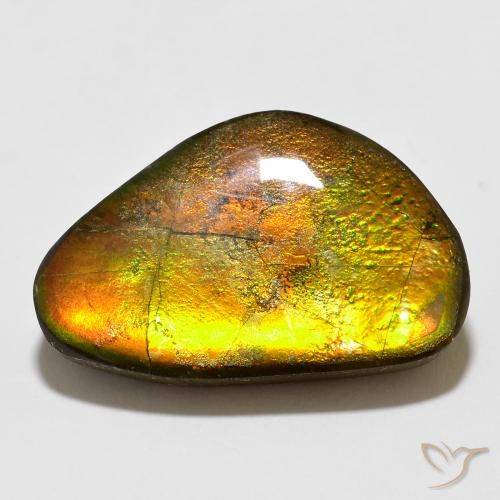 12.35ct Natürlicher Mehrfarbig Ammolith, Fantasie, Lichtundurchlässig
