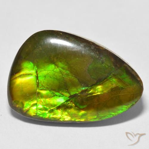 17.22ct Natürlicher Mehrfarbig Ammolith, Fantasie, Lichtundurchlässig