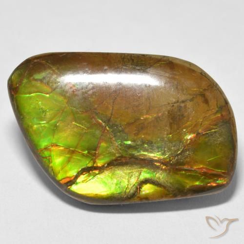 16.70ct Natürlicher Mehrfarbig Ammolith, Fantasie, Lichtundurchlässig