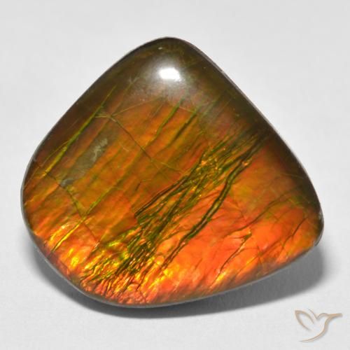 17.88ct Natürlicher Mehrfarbig Ammolith, Fantasie, Lichtundurchlässig