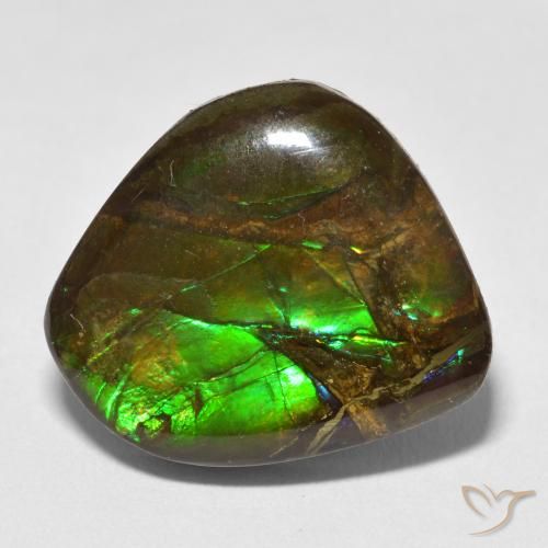 13.52ct Natürlicher Mehrfarbig Ammolith, Fantasie, Lichtundurchlässig
