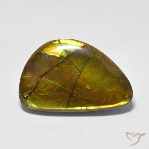 11.63ct Natürlicher Mehrfarbig Ammolith, Fantasie, Lichtundurchlässig