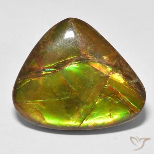 13.26ct Natürlicher Mehrfarbig Ammolith, Fantasie, Lichtundurchlässig