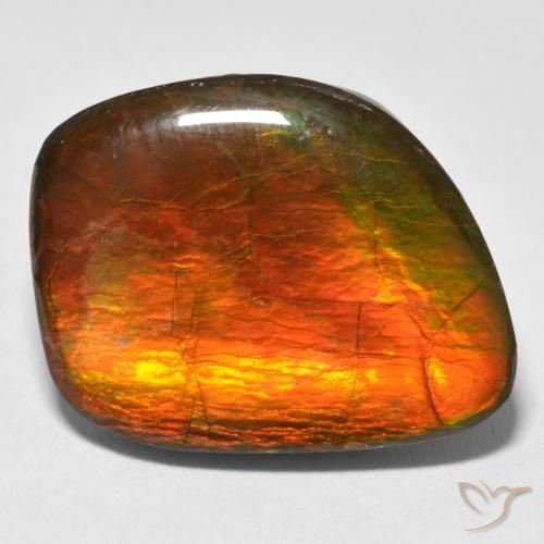 15.38ct Natürlicher Mehrfarbig Ammolith, Fantasie, Lichtundurchlässig