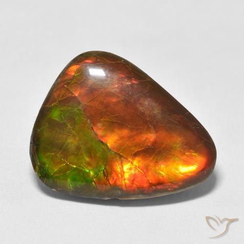 13.25ct Natürlicher Mehrfarbig Ammolith, Fantasie, Lichtundurchlässig