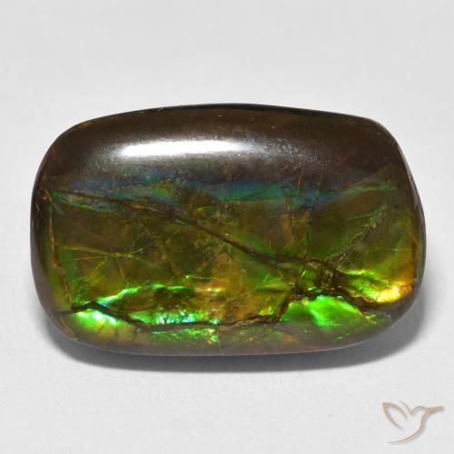 16.16ct Natürlicher Mehrfarbig Ammolith, Fantasie, Lichtundurchlässig