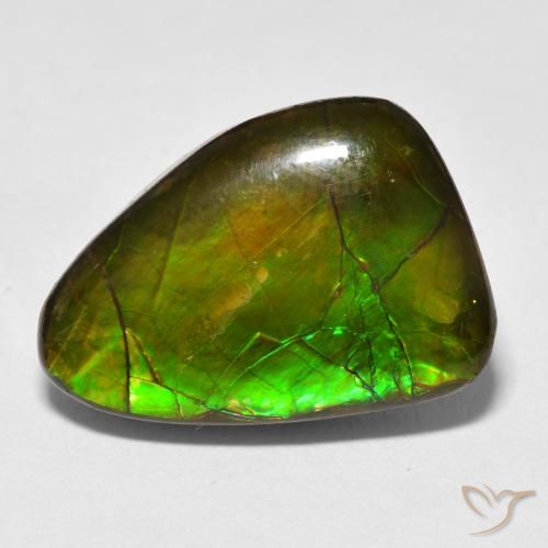 13.40ct Natürlicher Mehrfarbig Ammolith, Fantasie, Lichtundurchlässig