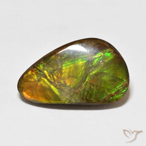 14.61ct Natürlicher Mehrfarbig Ammolith, Fantasie, Lichtundurchlässig