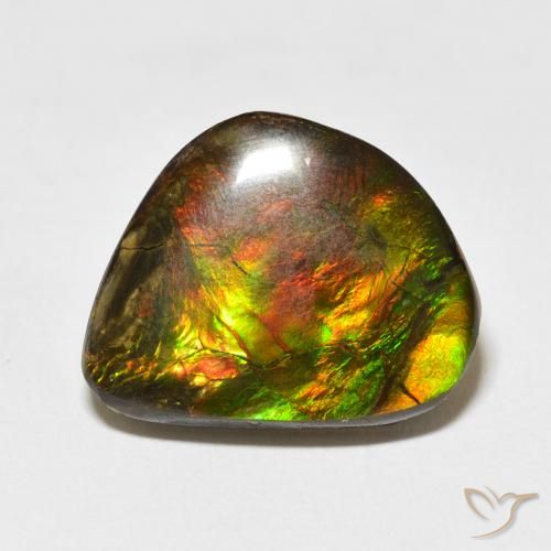 11.60ct Natürlicher Mehrfarbig Ammolith, Fantasie, Lichtundurchlässig