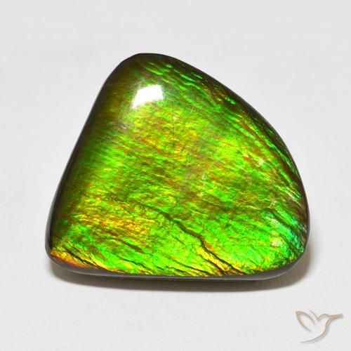 16.47ct Natürlicher Mehrfarbig Ammolith, Fantasie, Lichtundurchlässig