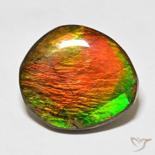 17.77ct Natürlicher Mehrfarbig Ammolith, Fantasie, Lichtundurchlässig