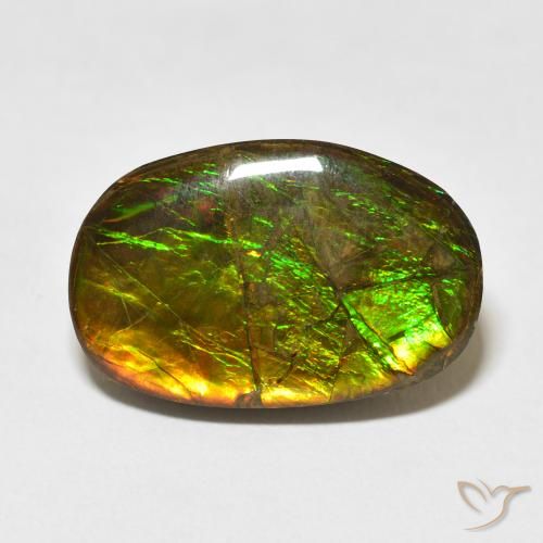 16.55ct Natürlicher Mehrfarbig Ammolith, Fantasie, Lichtundurchlässig
