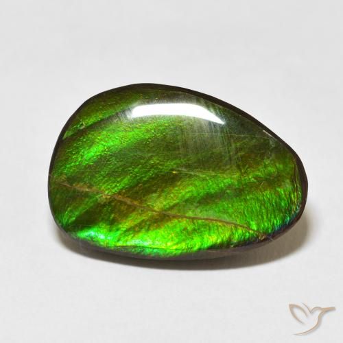 15.09ct Natürlicher Mehrfarbig Ammolith, Fantasie, Lichtundurchlässig