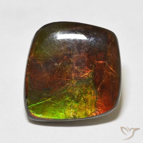 11.81ct Natürlicher Mehrfarbig Ammolith, Fantasie, Lichtundurchlässig