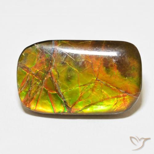 16.23ct Natürlicher Mehrfarbig Ammolith, Kissen, Lichtundurchlässig