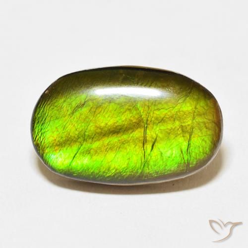 13.74ct Natürlicher Mehrfarbig Ammolith, Oval, Lichtundurchlässig