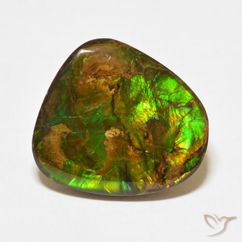13.95ct Natürlicher Mehrfarbig Ammolith, Fantasie, Lichtundurchlässig