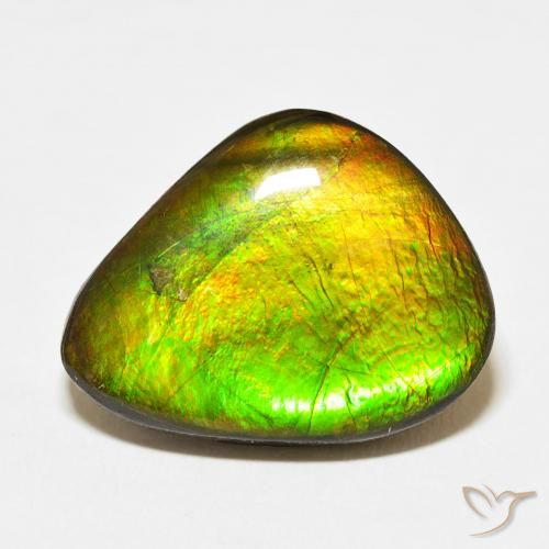 15.27ct Natürlicher Mehrfarbig Ammolith, Fantasie, Lichtundurchlässig