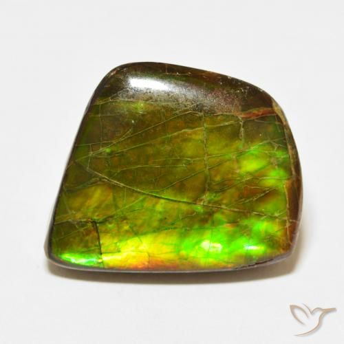 21.56ct Natürlicher Mehrfarbig Ammolith, Fantasie, Lichtundurchlässig