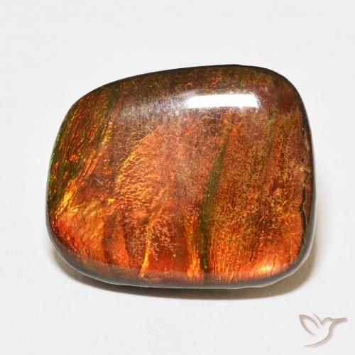 14.15ct Natürlicher Mehrfarbig Ammolith, Fantasie, Lichtundurchlässig