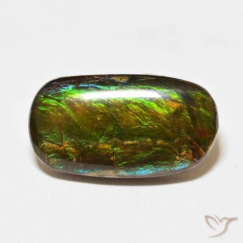 12.73ct Natürlicher Mehrfarbig Ammolith, Fantasie, Lichtundurchlässig