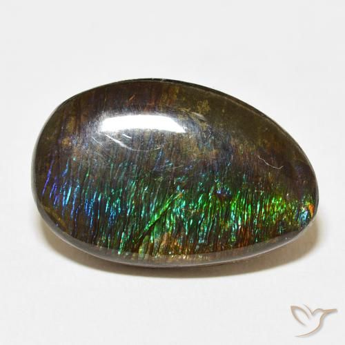 14.24ct Natürlicher Mehrfarbig Ammolith, Fantasie, Lichtundurchlässig