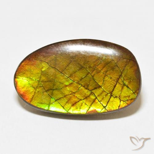 13.58ct Natürlicher Mehrfarbig Ammolith, Fantasie, Lichtundurchlässig
