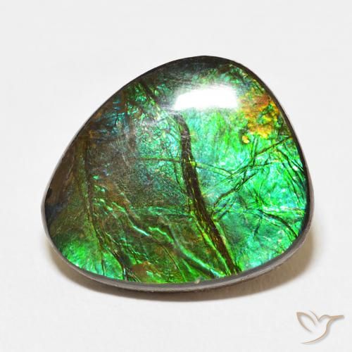 12.67ct Natürlicher Mehrfarbig Ammolith, Fantasie, Lichtundurchlässig