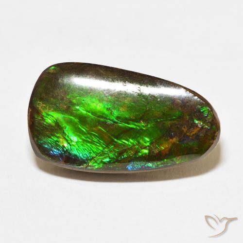 12.15ct Natürlicher Mehrfarbig Ammolith, Fantasie, Lichtundurchlässig