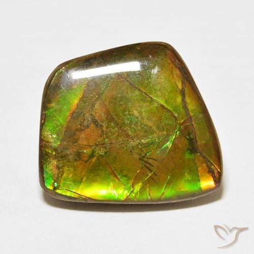 17.11ct Natürlicher Mehrfarbig Ammolith, Fantasie, Lichtundurchlässig