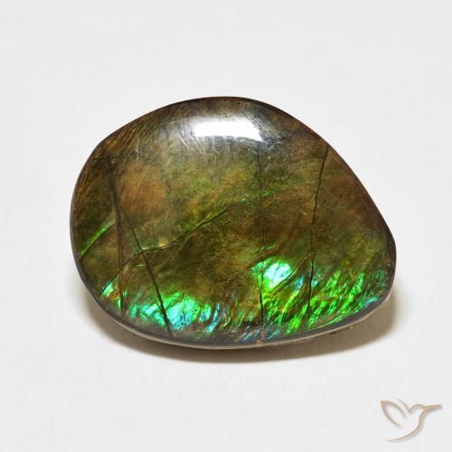 11.66ct Natürlicher Mehrfarbig Ammolith, Fantasie, Lichtundurchlässig
