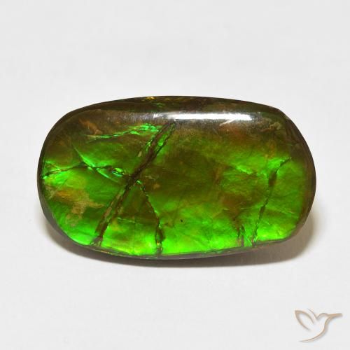 18.47ct Natürlicher Mehrfarbig Ammolith, Fantasie, Lichtundurchlässig