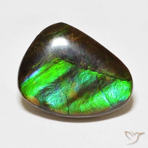11.84ct Natürlicher Mehrfarbig Ammolith, Fantasie, Lichtundurchlässig