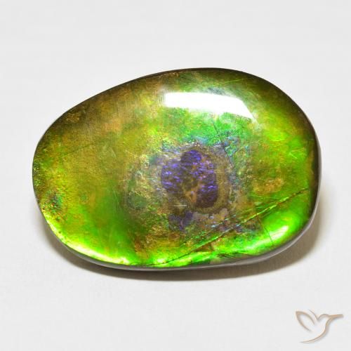 21.49ct Natürlicher Mehrfarbig Ammolith, Fantasie, Lichtundurchlässig