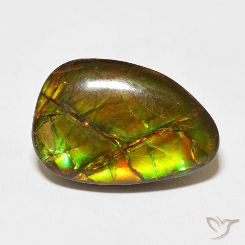 11.07ct Natürlicher Mehrfarbig Ammolith, Fantasie, Lichtundurchlässig