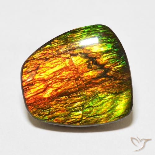 11.47ct Natürlicher Mehrfarbig Ammolith, Fantasie, Lichtundurchlässig