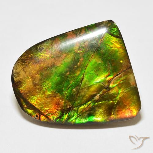 20.38ct Natürlicher Mehrfarbig Ammolith, Fantasie, Lichtundurchlässig