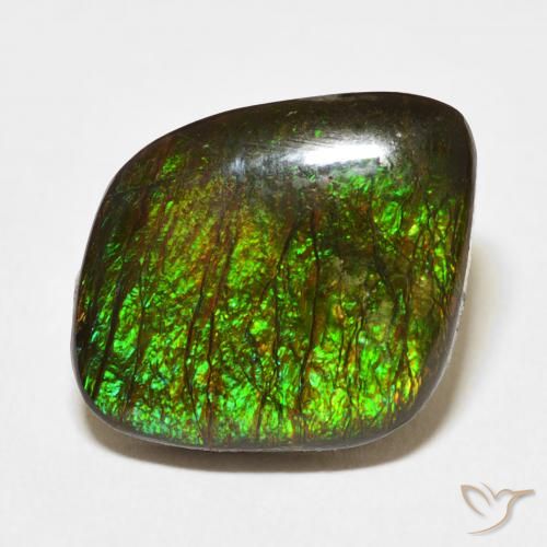 10.62ct Natürlicher Mehrfarbig Ammolith, Fantasie, Lichtundurchlässig