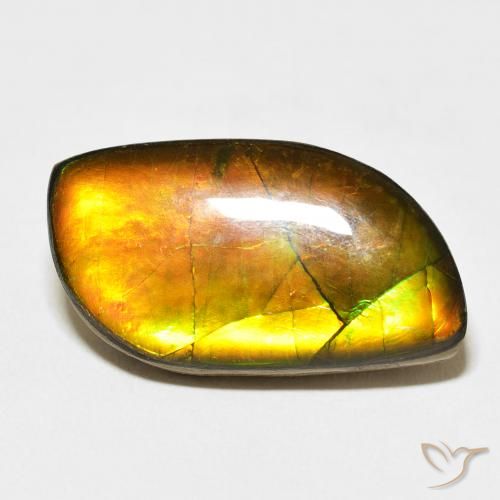 14.45ct Natürlicher Mehrfarbig Ammolith, Fantasie, Lichtundurchlässig