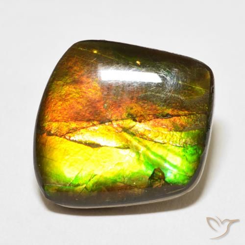13.63ct Natürlicher Mehrfarbig Ammolith, Fantasie, Lichtundurchlässig