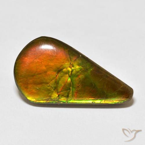 16.88ct Natürlicher Mehrfarbig Ammolith, Birnenform, Lichtundurchlässig