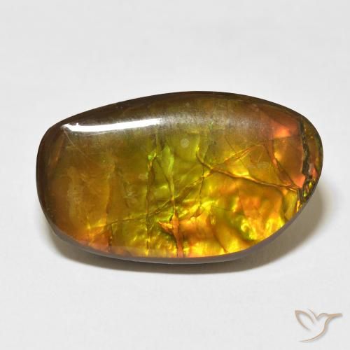 17.48ct Natürlicher Mehrfarbig Ammolith, Fantasie, Lichtundurchlässig