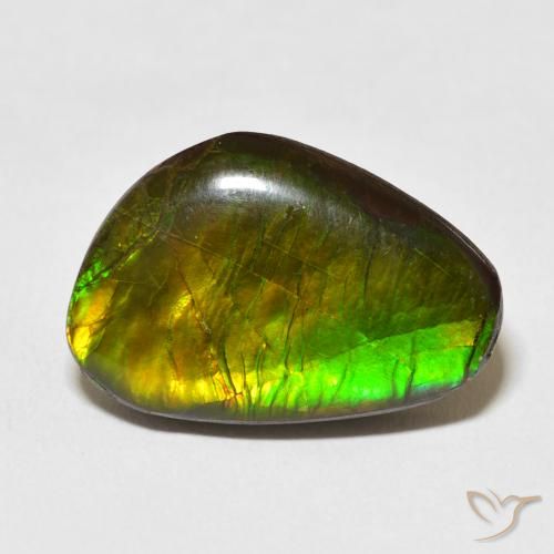 13.79ct Natürlicher Mehrfarbig Ammolith, Fantasie, Lichtundurchlässig