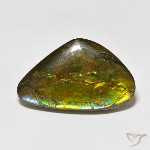 13.60ct Natürlicher Mehrfarbig Ammolith, Fantasie, Lichtundurchlässig