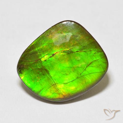 10.95ct Natürlicher Mehrfarbig Ammolith, Fantasie, Lichtundurchlässig