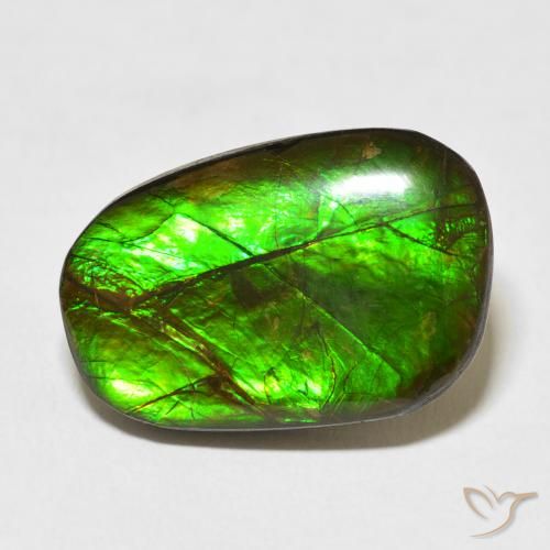 13.96ct Natürlicher Mehrfarbig Ammolith, Fantasie, Lichtundurchlässig